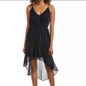 BB Dakota Irreplacable Burnout Dress